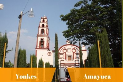 yonkes en Amayuca