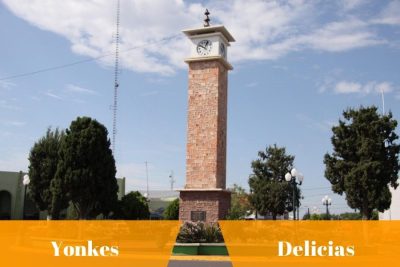 Yonkes y autopartes en Delicias