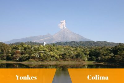 Yonkes en Colima Ciudad
