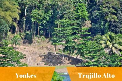 Yonkes y autopartes en Trujillo Alto