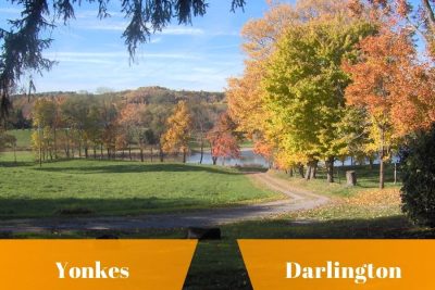 Yonkes y autopartes en Darlington