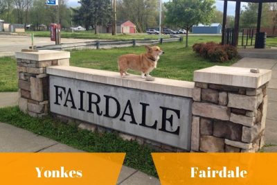 Yonkes y autopartes en Fairdale